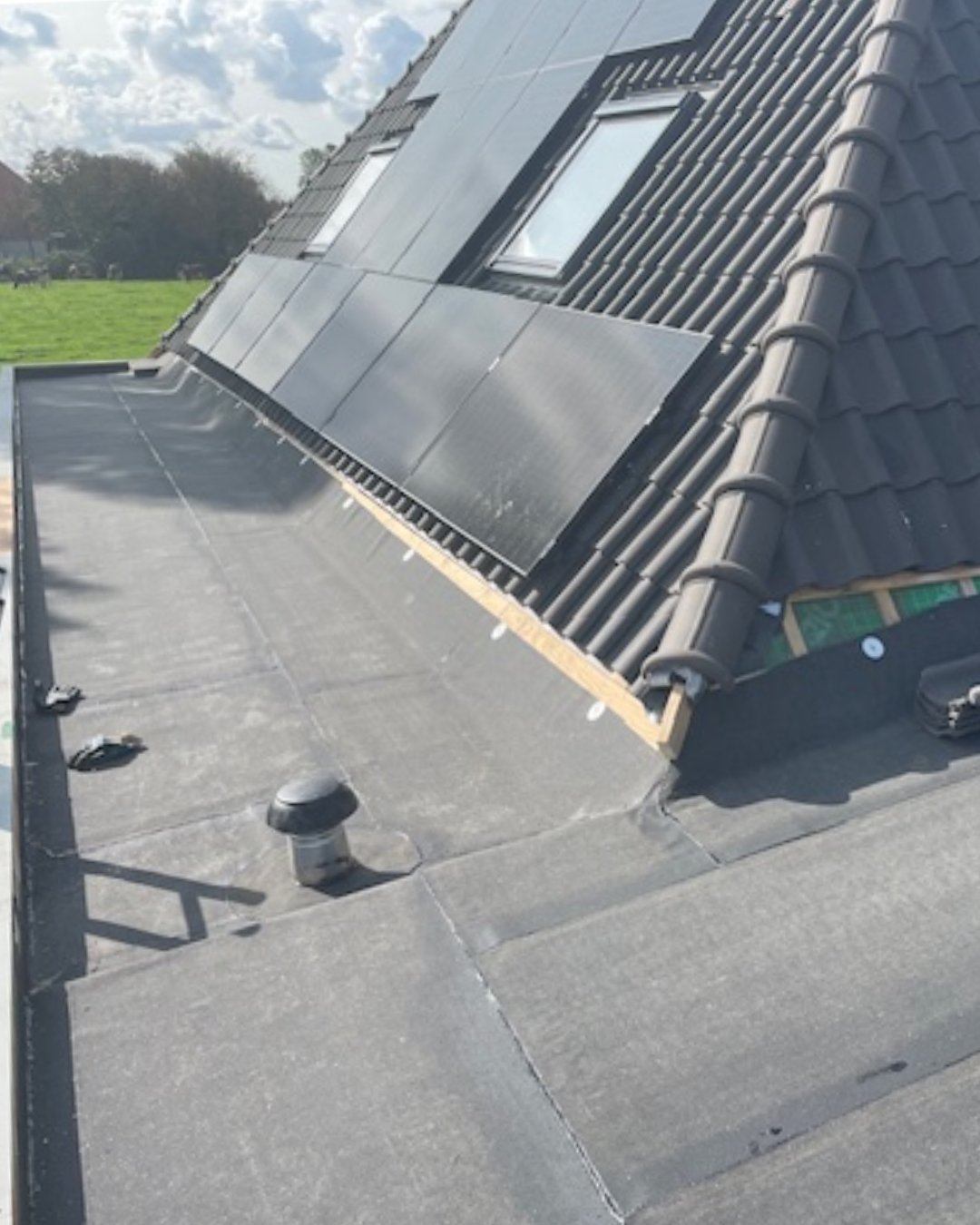 Nieuw project (5)